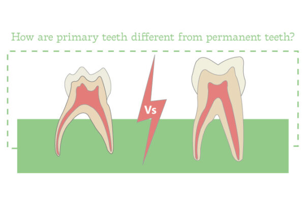 How are Primary Teeth Different from Permanent Teeth?