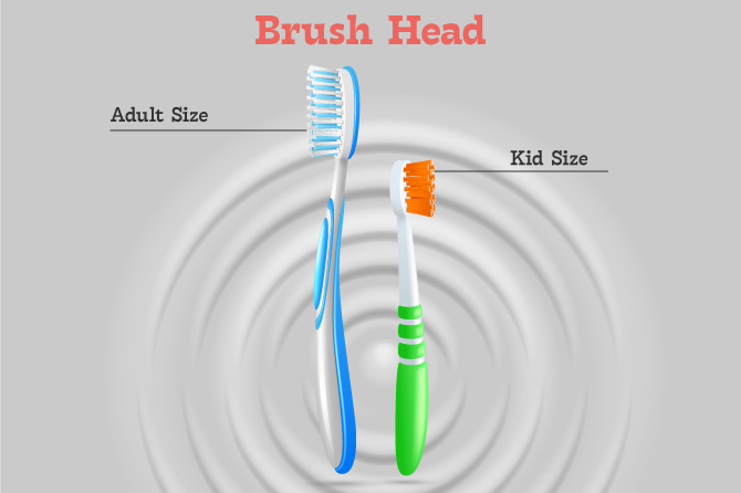 Toothbrush Head size