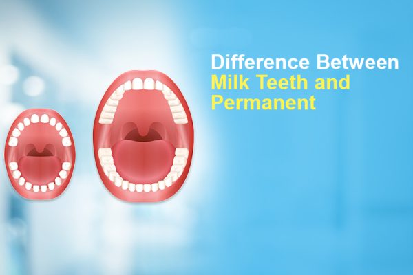 Difference Between Milk Teeth and Permanent Teeth: A Parent’s Guide